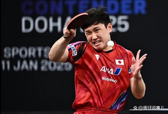 法国队翻盘瑞典队，张本智和关键制胜