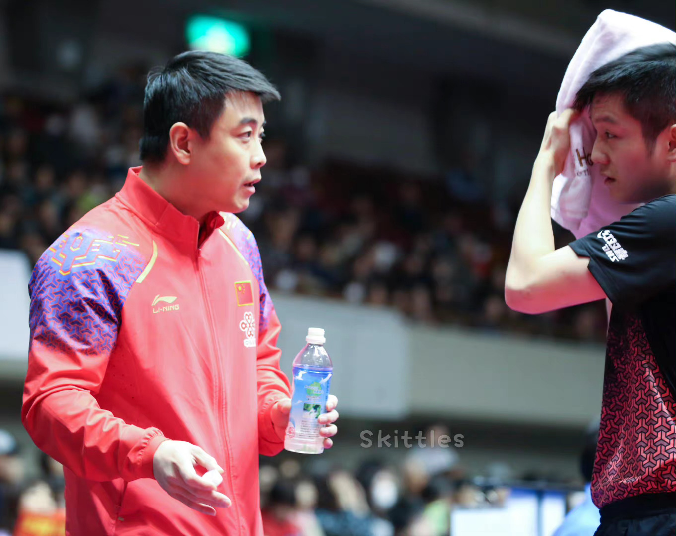 德国乒乓球队完胜英国乒乓球队，王皓关键制胜