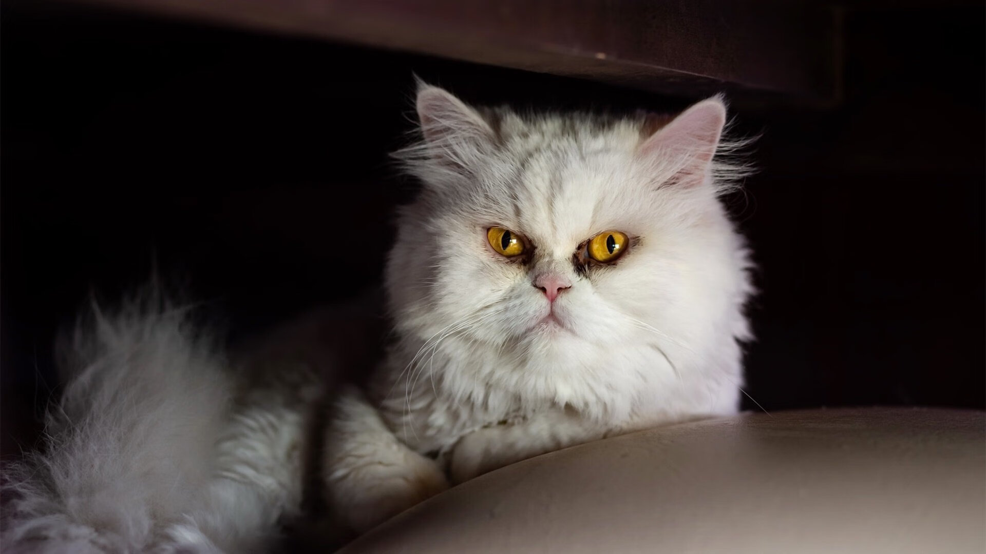 迪亚斯爆发，丹麦淘汰赛过关—中国足球的他山之石与未来启示