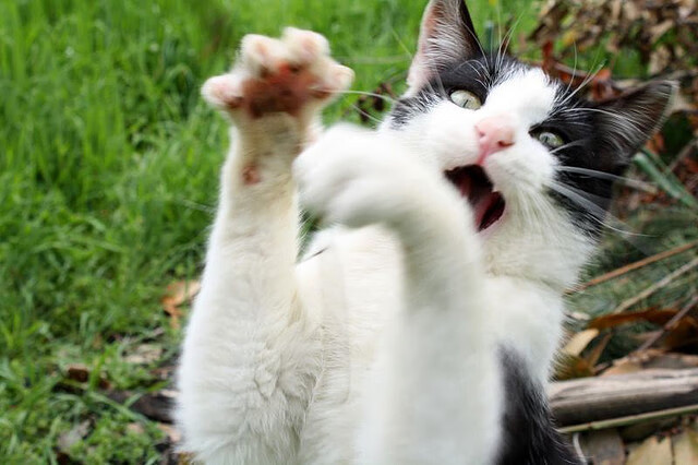 北欧风暴撕裂红龙防线，阿圭罗临危救主，诠释关键先生真谛