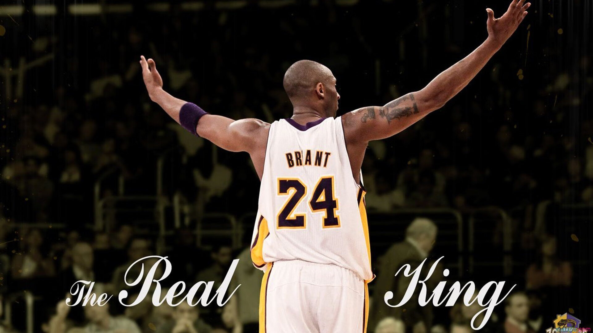 逆袭的号角，弗拉霍维奇独舞，南非强势击碎荷兰郁金香